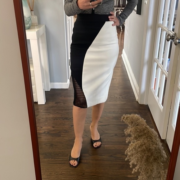 Milly Dresses & Skirts - Milly Helix Mesh Skirt